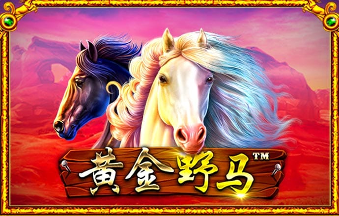 冠乐体育平台官网